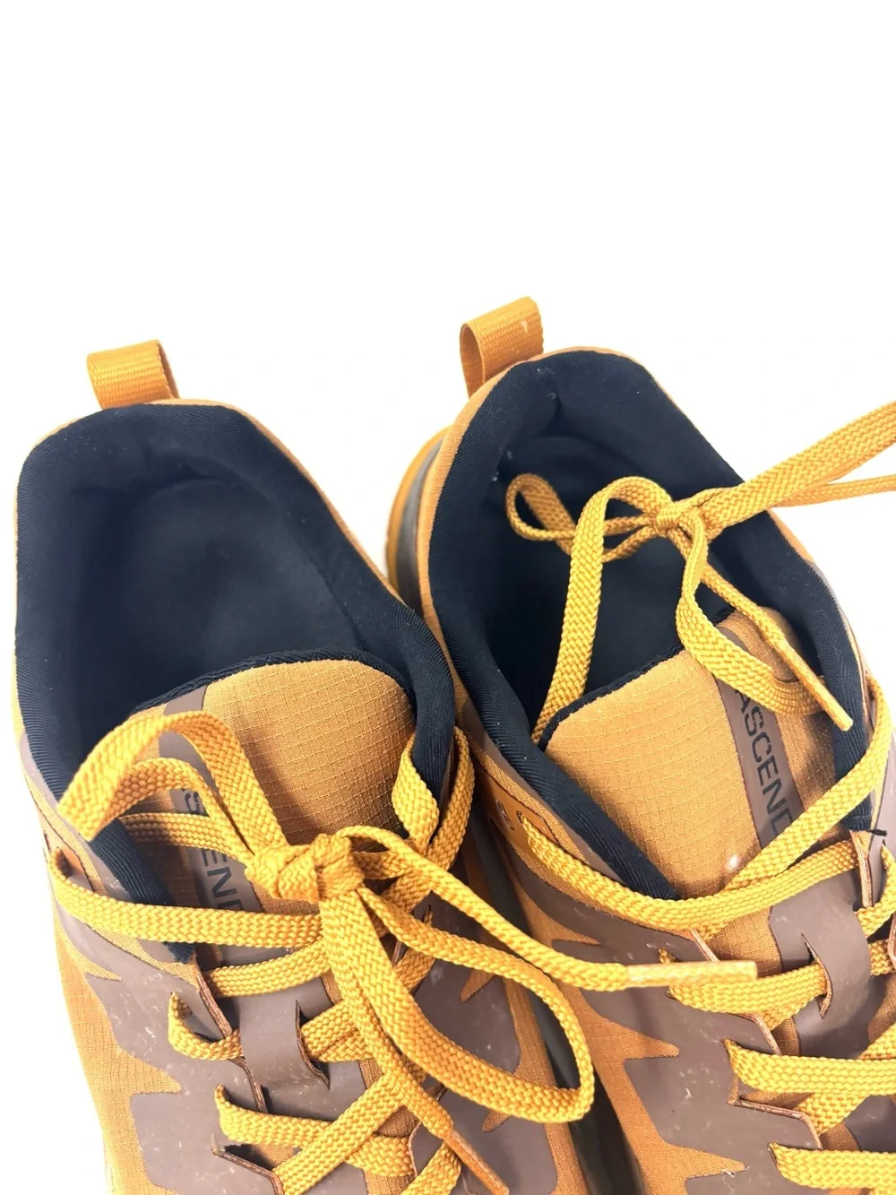 Ascend Sneakers